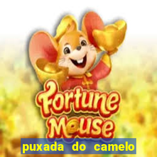 puxada do camelo jogo do bicho